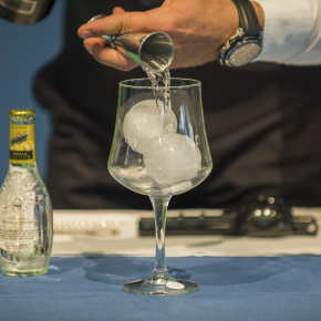 GASTROCANARIAS 2018 - CAMPEONATO GIN TONICS (14)-2