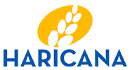 Haricana